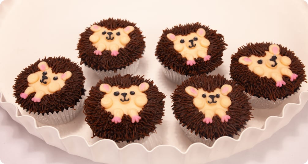 Hedgehog Cupcakes